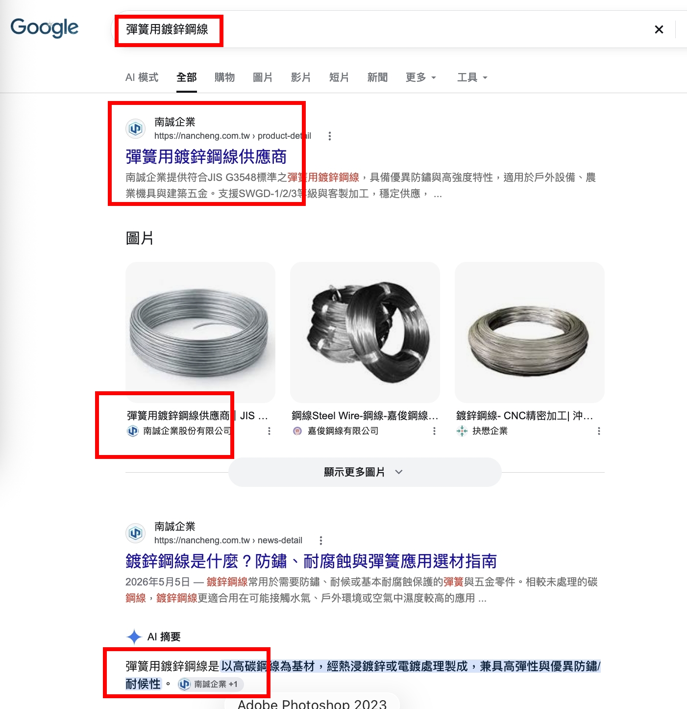 南誠企業彈簧用鍍鋅鋼線 Google SEO GEO 成果，產品頁、圖片搜尋及 Google AI 摘要皆獲曝光